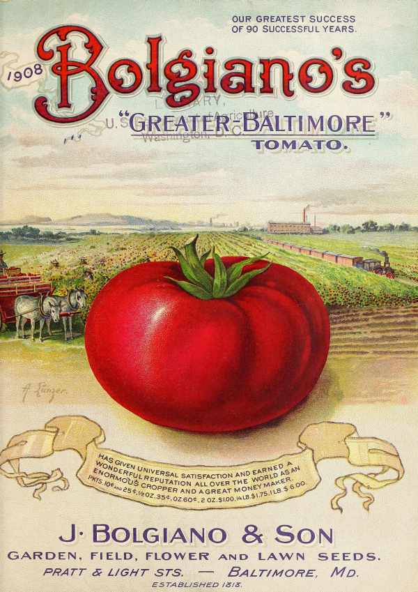 Bolgiano - amerikai paradicsom vetőmag reklám plakát 1908    Botanika