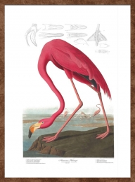 madaras-festmény-falikép-flamingó-ajándék-vintage