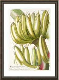 banán-gyümölcs-falikép-dekoráció