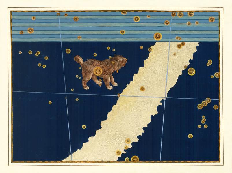 Kis Kutya - Canis Minor csillagkép konstellációs rajza Alexander Mair, Johann Bayer  Konstellációk csillagászati térképei Johann Bayer Uranometria c. atlaszából Csillagászat