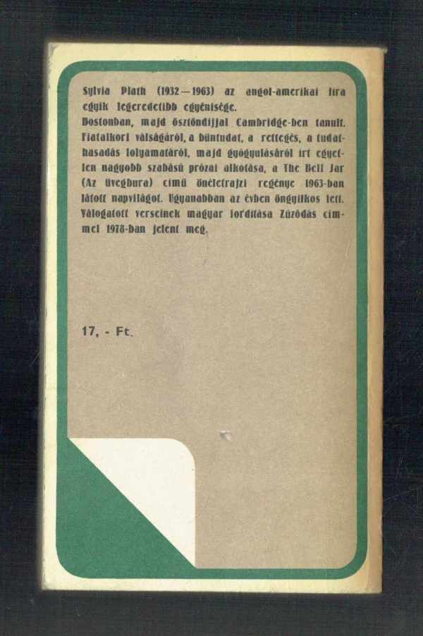 Az üvegbura Sylvia Plath