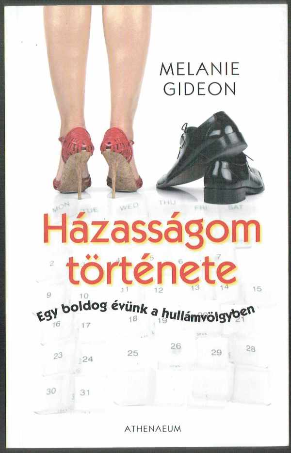 Házasságom története - Egy boldog évünk a hullámvölgyben Melanie Gideon
