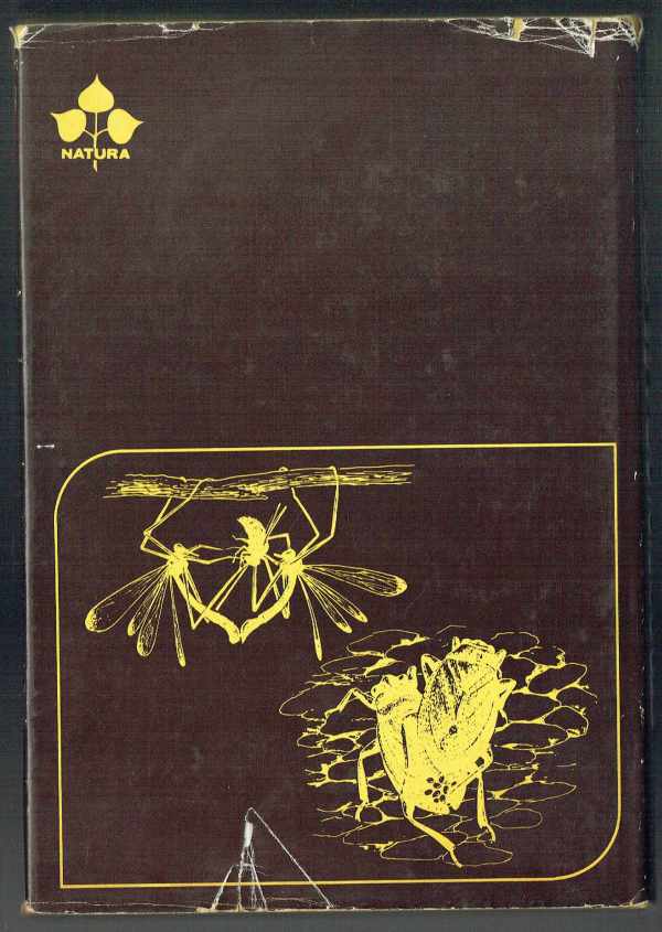 Szociobiológia és viselkedés David P. Barash