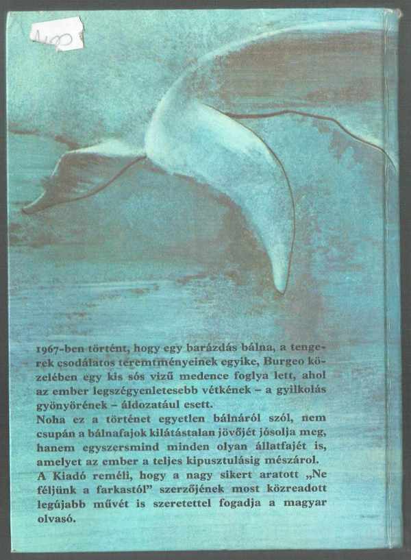 Meg kell ölni a bálnát?