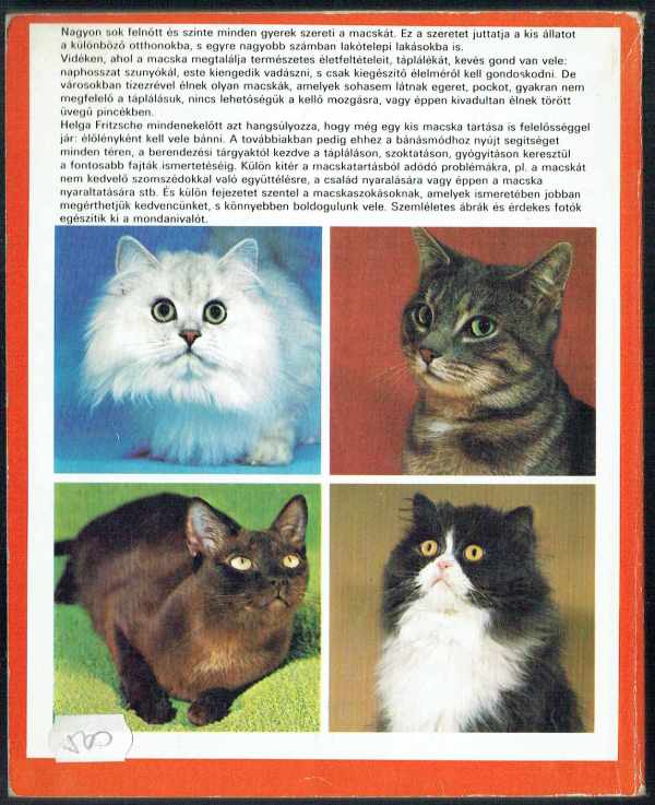 Macskák - Hasznos tudnivalók vásárlásról, gondozásról, táplálásról, betegségekről Helga Fritzsche Macskák - Hasznos tudnivalók vásárlásról, gondozásról, táplálásról, betegségekről Helga Fritzsche