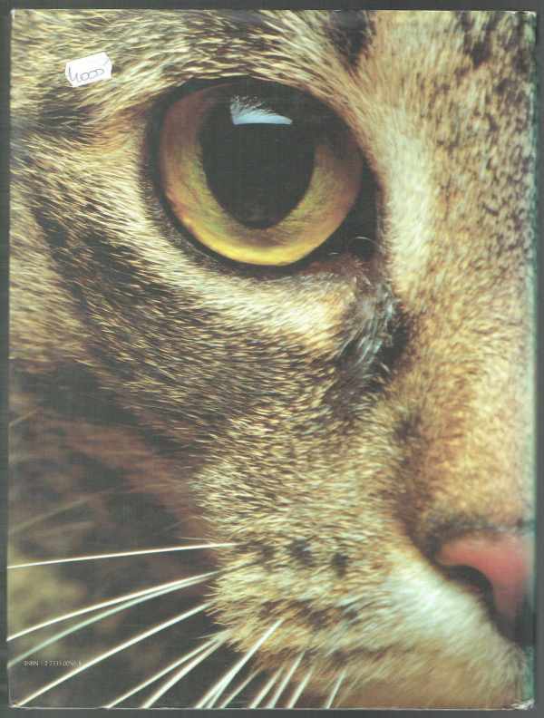 Le chat indispensable J. C. Suarés