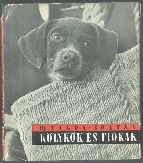 Kölykök és fiókák ifj.Tildy Zoltán Kölykök és fiókák ifj.Tildy Zoltán