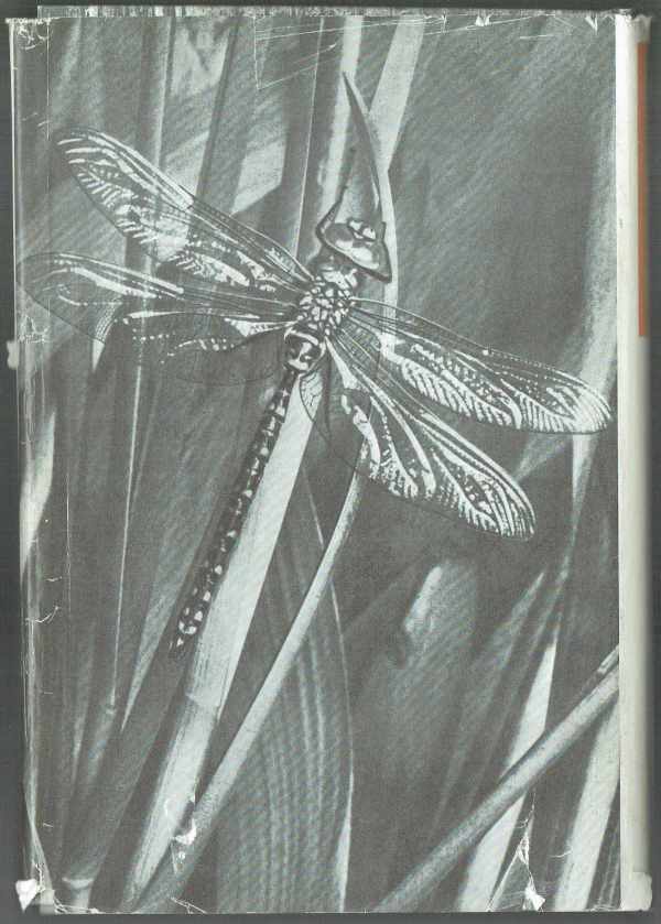 Urania állatvilág - Rovarok  Dr. Andrássy István