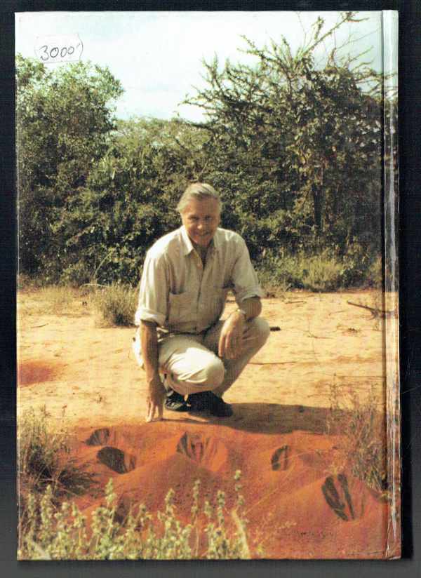 Az élet erőpróbái – Az állatok viselkedésének természetrajza David Attenborough Az élet erőpróbái – Az állatok viselkedésének természetrajza David Attenborough