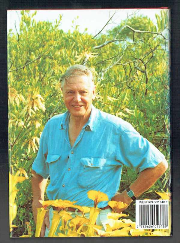 A növények magánélete David Attenborough  