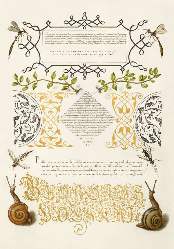 Régi kalligráfia botanikai illusztrációkkal - 47 Bocskay György, Joris Hoefnagel  Botanika