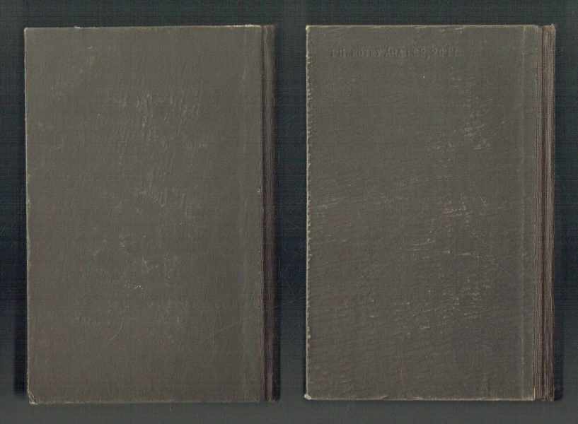 A varázshegy 1-2. Thomas Mann