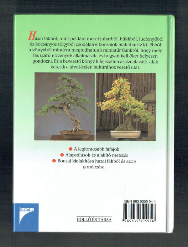 Bonsai  Saját nevelés hazai és európai fákból Helmut Rüger, Horst Stahl