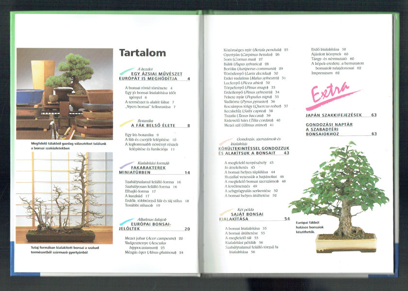 Bonsai Saját nevelés hazai és európai fákból Helmut Rüger, Horst Stahl Bonsai Saját nevelés hazai és európai fákból Helmut Rüger, Horst Stahl