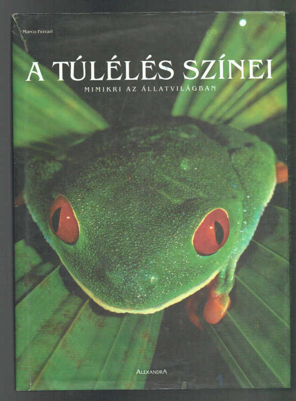 A túlélés színei Marco Ferrari