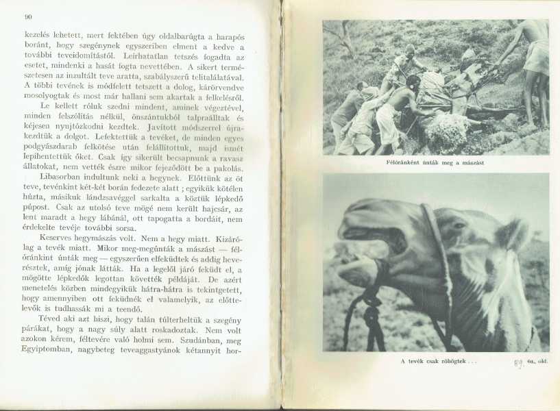 Elefántország – ELSŐ KIADÁS! Elefántország – ELSŐ KIADÁS!